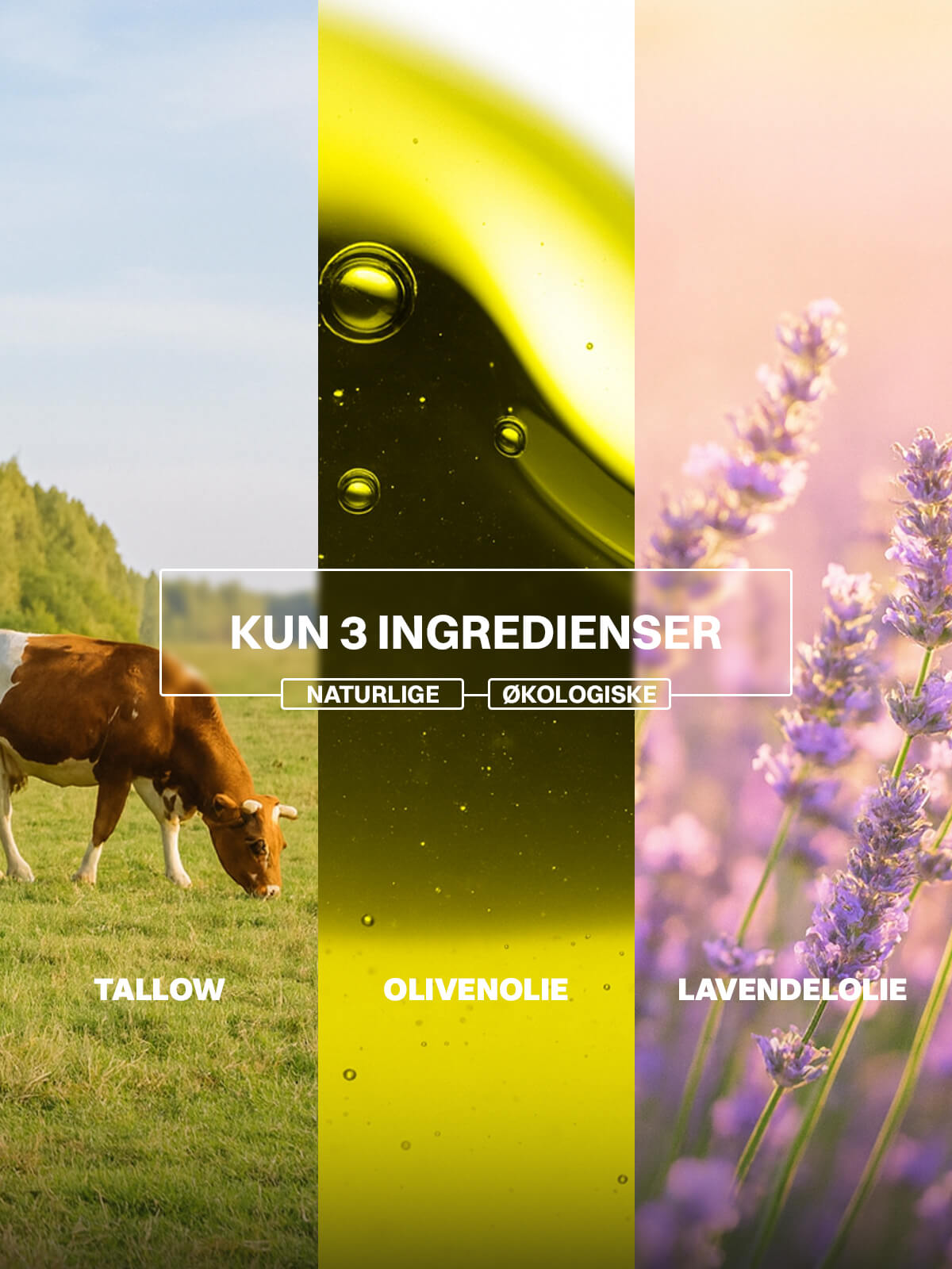 Renude The Cream med naturlige ingredienser illustreret i tre sektioner